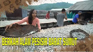 BERKAH ALAM PESISIR BARAT SUMATERA UTARA | JEJAK PETUALANG (28/05/24) Part 3