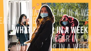 COLLEGE WHAT I WEAR IN A WEEK: realistic fall outfits I wear to class |  Carnegie Mellon University