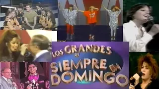 El DEBUT de las Grandes Estrellas en "Siempre en Domingo"