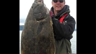 Sekiu Washington Halibut Fishing with FAT Squid Lead Head Jigs