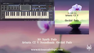 Arturia CZ V presets | Vicious Antelope - Orchid Pads