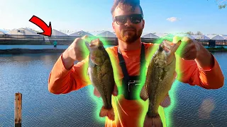 This Pond is LOADED with GIANT Bass (Bank Fishing)