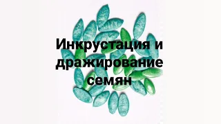 Инкрустация и дражирование  семян