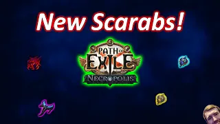 Ben's Thoughts On The New THICC Scarabs!