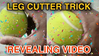 LEG CUTTER TRICK REVEALING VIDEO || How to bowl leg cutter in tennis ball? || #legcutter #cricket