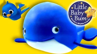 The Little Blue Whale | Nursery Rhymes for Babies by LittleBabyBum - ABCs and 123s