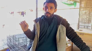 itwar bazar Peshawar mor cages rate ki update#itwarbazar #sundaybazar