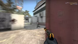 usp ace