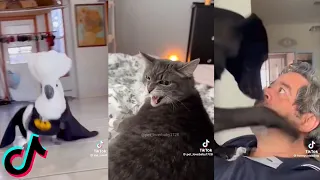 Funny Animals Tiktok Compilation #46