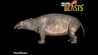 TRILOGY OF LIFE - Walking with Beasts - "Moeritherium"