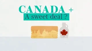 What is the Canada+ Brexit proposal?