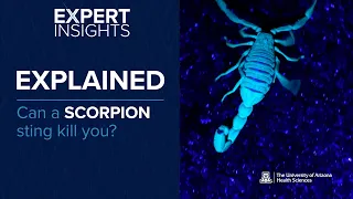 Expert Insights: Can a Scorpion Sting Kill You?