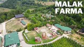 A day at Malak Farm, Kakanj - Bosnia and Herzegovina | 4K