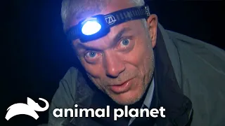 Witness the heart-pounding moments of Jeremy Wade's most dangerous catches | River Monsters