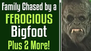 Family Chased By Bigfoot - Plus 2 more Encounters!