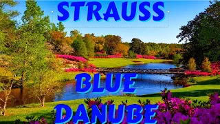 The Blue Danube Waltz by Johann Strauss II  ~ 3 Hours Relaxing Classical Music for Stress Relief