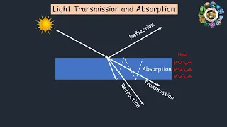 Light transmission and absorption