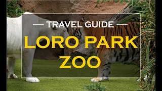 LORO PARQUE ZOO ( TENERIFE ISLAND )