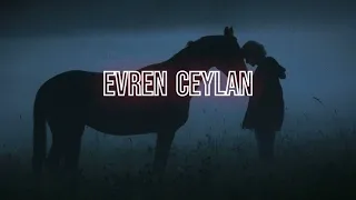 Hoşçakal - Şebnem Ferah (Sözleri/Lyrics)