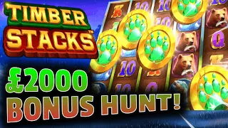 Epic £2000 Slot Bonus Hunt: 13 Big Wins Revealed | SpinItIn.com