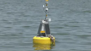 Cleveland Water Alliance launches smart buoys into Lake Erie