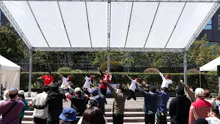 山形さくらんぼ体操 📍TDF 東北ダンスフェスティバル (勾当台公園) 📅2022-04-09T11:10