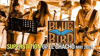 BlueBird - Superstition