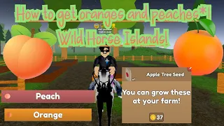 How to get oranges and peaches* Wild Horse Islands||Roblox