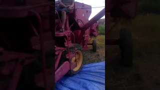 ДТЗ & MASSEY FERGUSON 31 міні комбайн