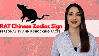 RAT Chinese Zodiac - Everything You Need To Know!