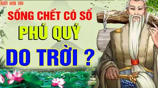 Sống chết có số, phú quý do trời ? Bạn Có Tin Vào Câu Nói Này ? Ngẫm Nhân Sinh