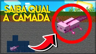 QUAL A CAMADA PARA ENCONTRAR AXOLOTES NO MINECRAFT!! - Revelado!