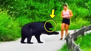 Bear Tries To Get Hiker's Attention, Then She Discovers The Heartbreaking Reason & Follows It!