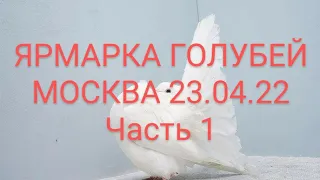 ЯРМАРКА ГОЛУБЕЙ. МОСКВА. 23.04.22 ЧАСТЬ 1