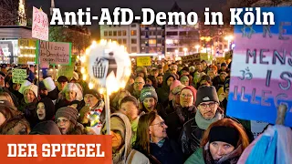 Anti-AfD-Demo in Köln: »So weit darf es nicht kommen« | DER SPIEGEL