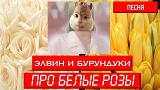 ЭЛВИН И БУРУНДУКИ | ПЕСНЯ | ПРО БЕЛЫЕ РОЗЫ