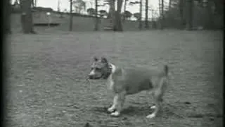 Fatty Arbuckle in The Butcher Boy, 1917