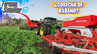 Siembra De Rábano Oleifero en FS 23 | Para Que Sirve? Y Como funciona!