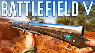 Assault Rifle Ribeyrolles in Battlefield 5