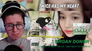 Reacting to 'The Golden Heart of Twice' by @twicity