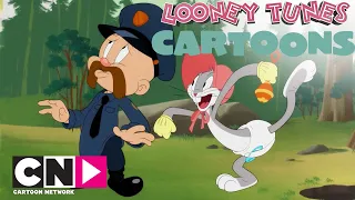 Coniglio in arresto | Looney Tunes Cartoons | Cartoon Network Italia