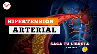 Hipertensión arterial - Resumen Brutal | Dr. Manolo Briceño