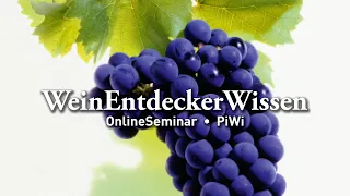 PiWi – WeinEntdeckerWissen OnlineSeminar