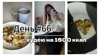 ДНЕВНИК ПОХУДЕНИЯ | рацион на 1500 ккал, готовим еду | День 66