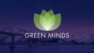 Нейромедитации Greenway Алексей Ситников Green Minds