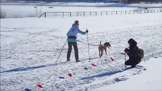 След 2019