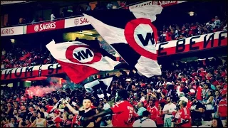 Dizem que somos loucos da cabeça - Benfica (POR) [Legendado (EN/PT)]