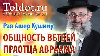 Рав Ашер Кушнир. Вход в общность ветвей праотца Авраама. ДЕРЕХ АШЕМ 45