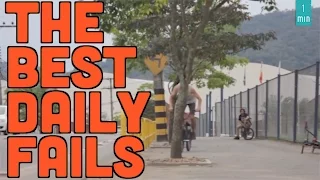 THE BEST DAILY FAIL COMPILATION 216 ✔