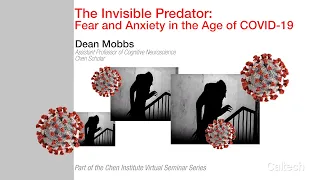 The Invisible Predator: Fear and Anxiety in the Age of COVID-19